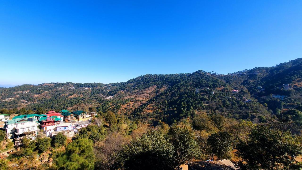 Wildleaf Kasauli Valley Homz Bed & Breakfast Eksteriør bilde